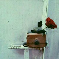 saif Almusaid (@053seef) 's Twitter Profile