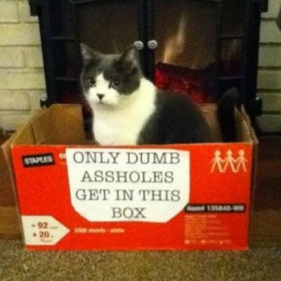 Happily providing you with only the funniest and stupidest tweets youve ever read.