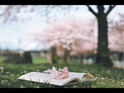 من احب الله ، رأى كل شىء جميلا.
إن للكلمات قوة عظيمة الأثر على أرواحنا ونفوسنا
فكن مبشرا ولا تكن منفرا