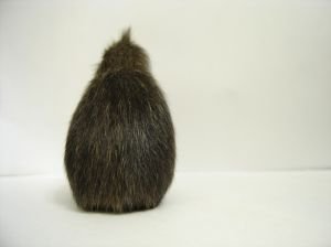 tocori_na's profile picture. 虜でヲタクでたまにベリーダンスしてる。平成最後の年に子を産んだ。