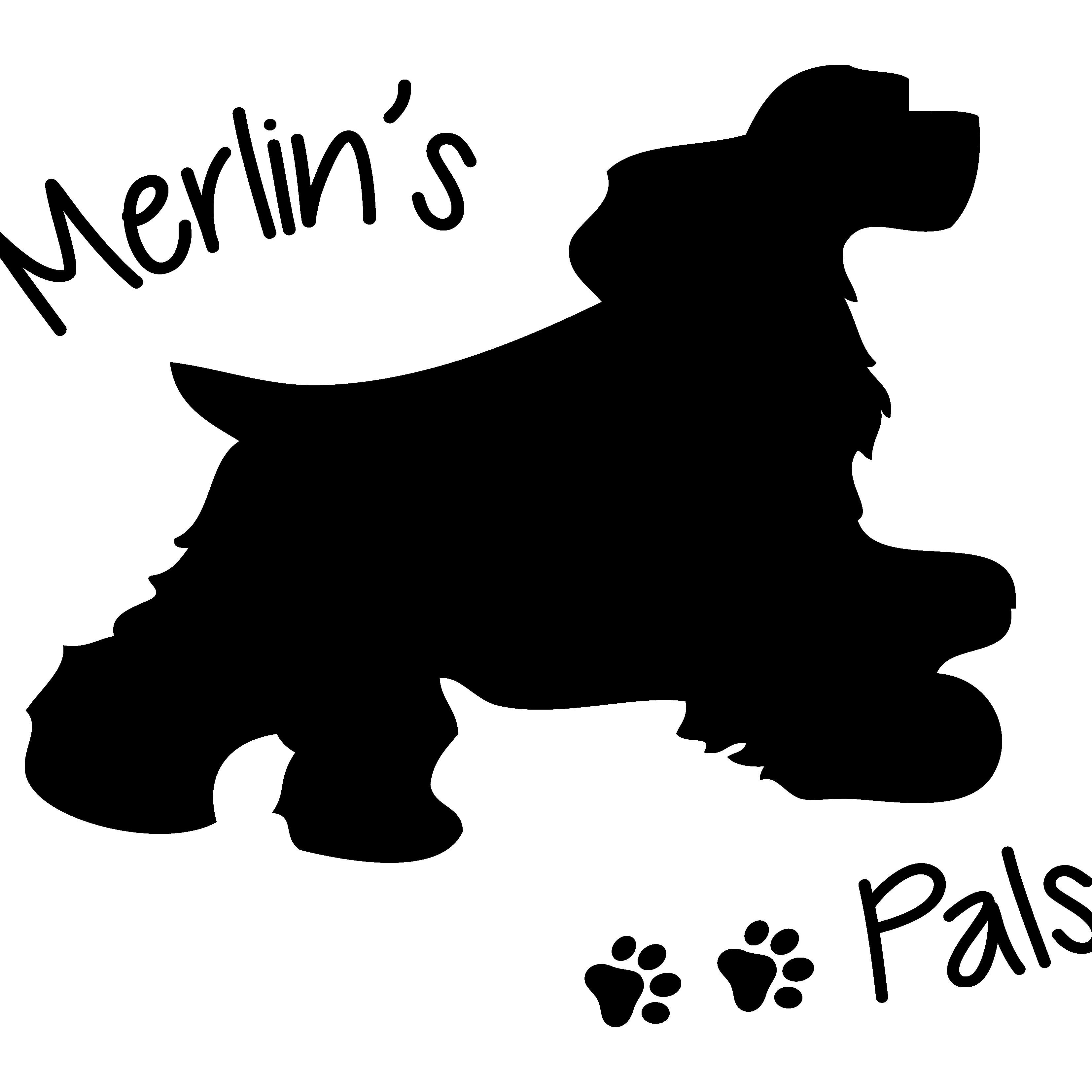 We are a Dog walking and Pet Care service in the Burnley & Pendle area. We also offer pop in Visits to smaller pets