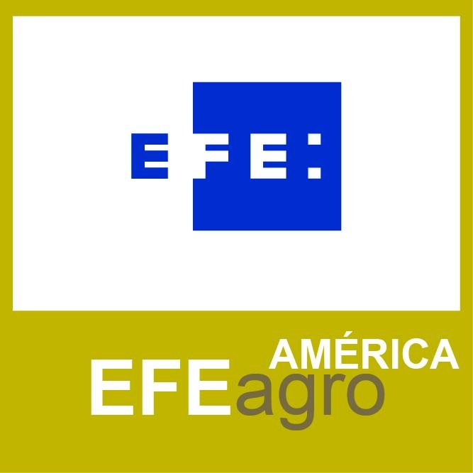 Filial de Agroalimentación de la Agencia EFE. Síguenos en http://t.co/LWy4MtIf36