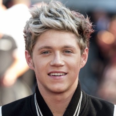 hi I'm niall I'm just a guy who get bullied /RP