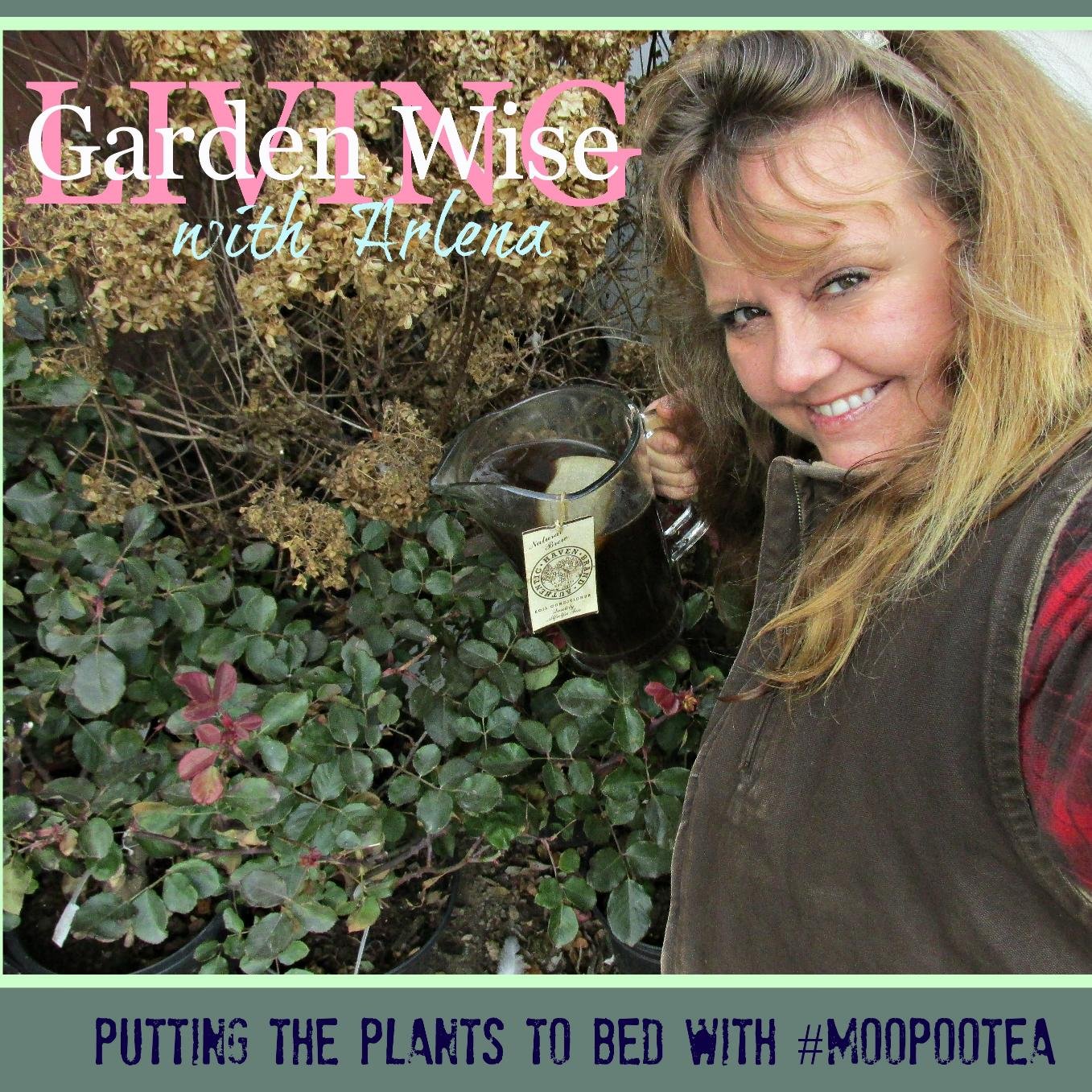 Garden Wise Living TV Host Homestead Happiness is a way of life not a hobby. Landscaper Chicken Keeper Tender of the Garden Preserving Dig in and Give Back
