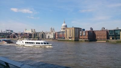 JOHANNABARRETO's profile picture. 