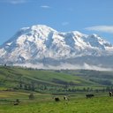 Luis Anibal Toro - @LuisAnibalToroL - Twitter