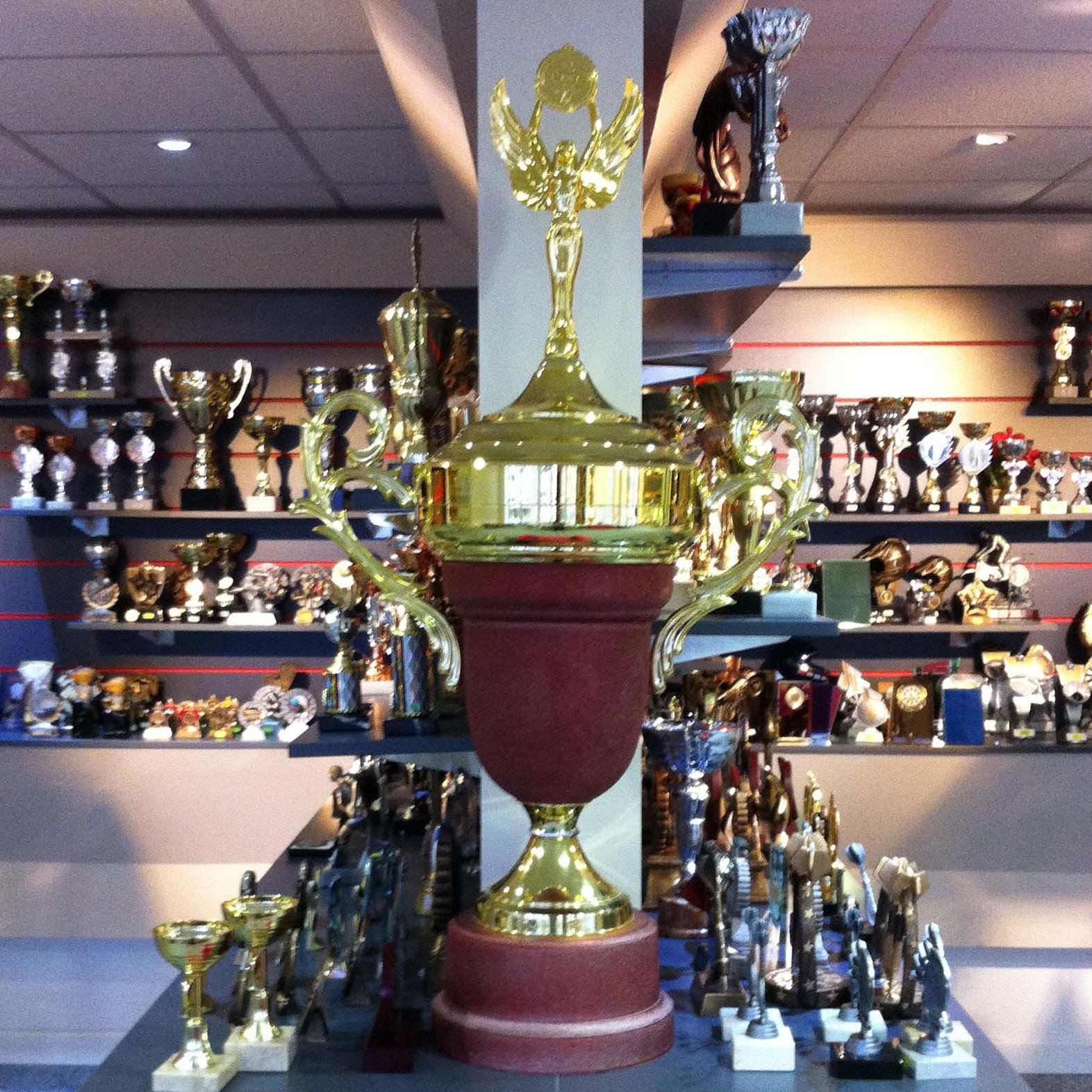 Established in 1981 and based in Pool, Redruth, we supply/engrave cups, trophies, shields, medals, glass etc. T-Shirt printing, embroidery, brass plates etc etc