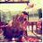 aleferri28's profile image