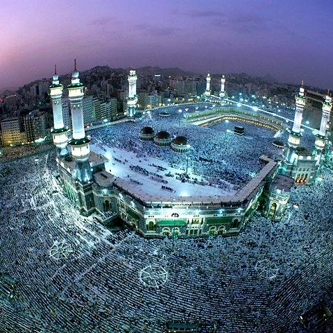 risaleinurdeniz's profile picture. 