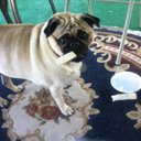 jodi tackett-mullins - @MullinsJodi - Twitter