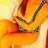 andreaccs23's profile image