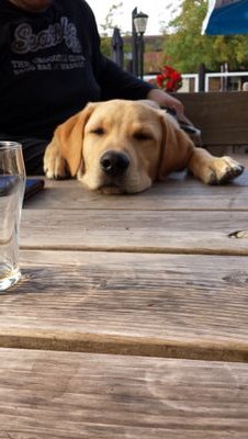 mirandakok_75's profile picture. 