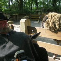 Helmuth Hoffmann (@helmuthhoffi) Twitter profile photo