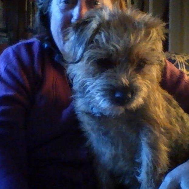 Winning racehorse breeder, Border terrier breeder. Proud owner of Boudie and daughter Mayhem.Illustrator/artist.Ba Hns Camberwell. 