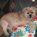 Lawrence Rock - @ldrock01 - Twitter