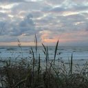 Vicki Terrell - @GrandmaTerrell - Twitter