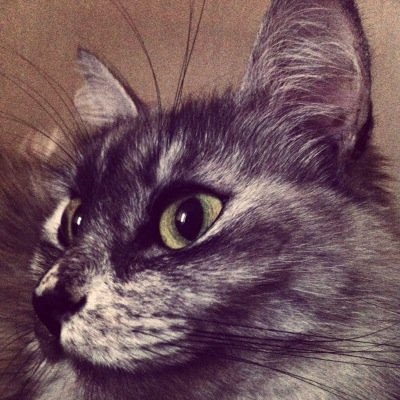 evielub's profile picture. 