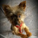 Pilar Blanco - @blancomartinez3 - Twitter