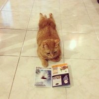Funny News 24 (@gurugoodenough) 's Twitter Profile