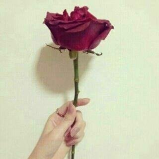 آيآﻤ ﺢـلْـوھ يآآلْـلْـھ لْـﻋﻤري آلْـﭔآقـي