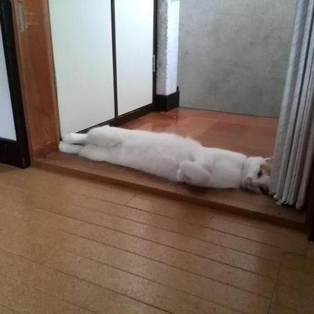 Hi! I bring you funny and trendy news everyday. If you like them, please visit also my website. Thank you!