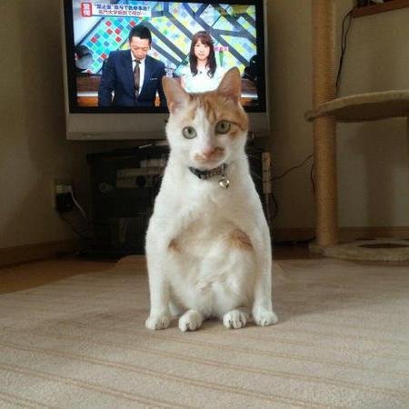 Hi! I bring you funny and trendy news everyday. If you like them, please visit also my website. Thank you!