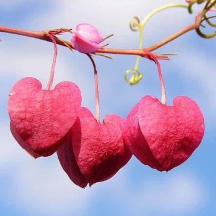 SpreadKnowledge's profile picture. 