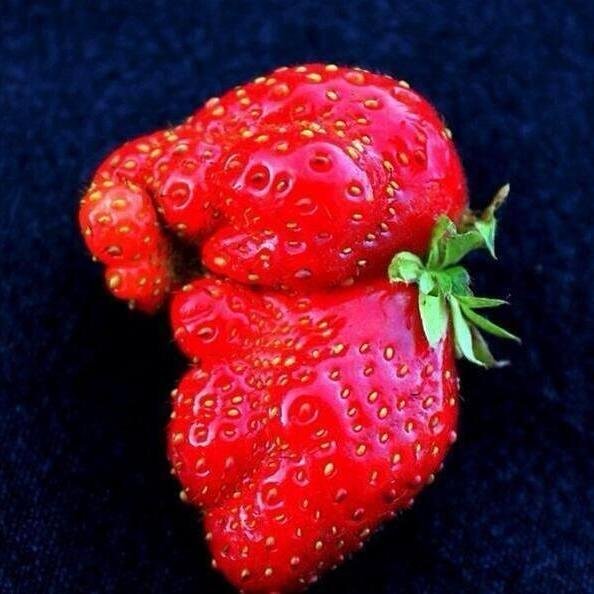 Hi! I bring you funny and trendy news everyday. If you like them, please visit also my website. Thank you!