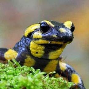 És el conjunt de molts detalls, petits i grans, el que fa que una cursa sigui única. El nostre objectiu: organitzar-les i aconseguir-ho.