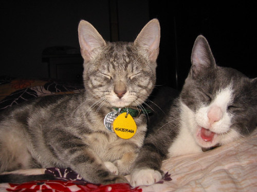 jannam's profile picture. 