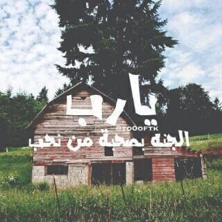 f5383d3fcfd9405's profile picture. 