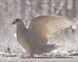 a1d9b038108b4d7's profile picture. 