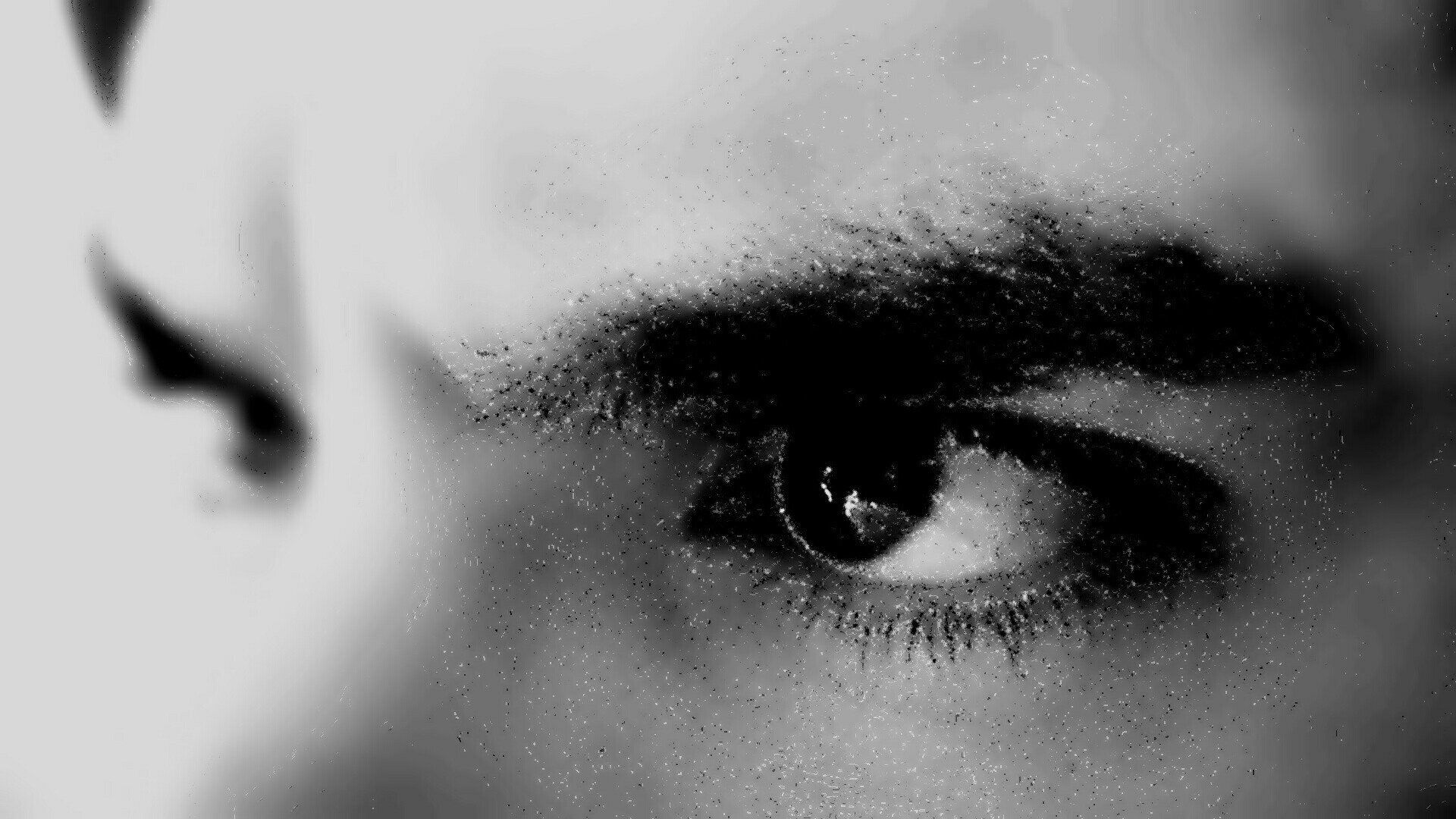 18517076b409438's profile picture. 