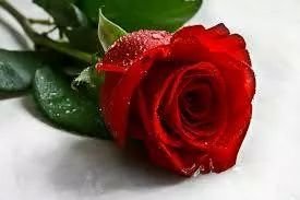 SIMPLESTYLE7's profile picture. Precious Rare Diamond Consultant Global Operstion!