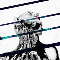 Miserihum Oficial (@miserihumband) 's Twitter Profile