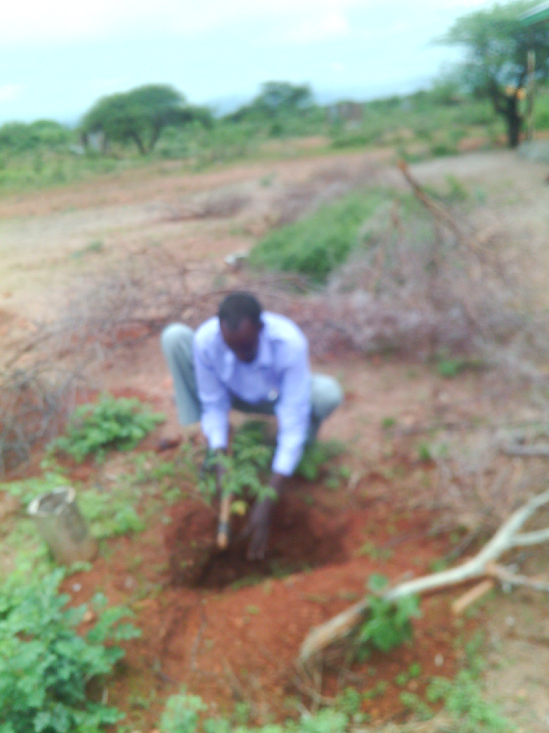 Volunteer Environmentalist