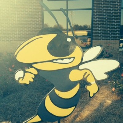 TCCHSJACKETS Profile Picture