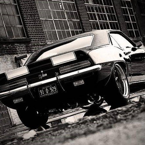 I've been obsessed with cars since.... I was born!