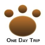 Share one day trip around bay area north California with community. You also can find us on Facebook or Pinterest.