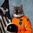 YJAlleyCat's profile image