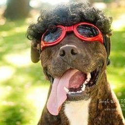 emmarosap's profile picture. 