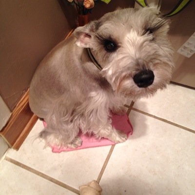 cathykates1's profile picture. 