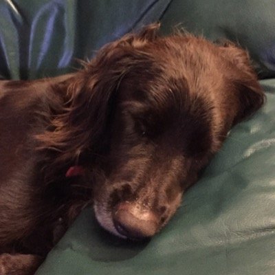 sensfan221's profile picture. Travel Specialist @ Parish Travel Services. email= parishtravelservices@gmail.com