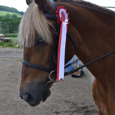 Sarah16160's profile picture. 