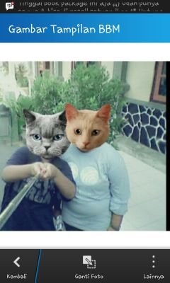 just one,no more. i love you so much boy!DKM