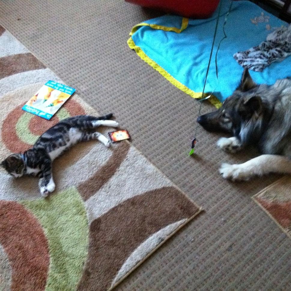 amanda_bell13's profile picture. 