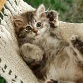 bryana_nicole__'s profile picture. 