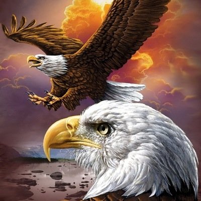 VincentMinotti's profile picture. I am going to play football