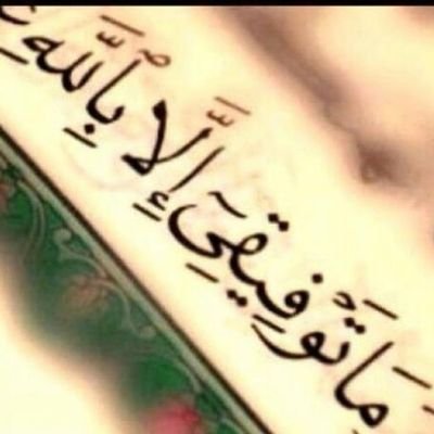 ‏سبحان الله وبحمده سبحان ربي العظيم