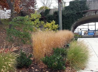 Group of concerned citizens who contribute our time and/or money to encourage the development of the Cynwyd Heritage Trails within the Lower Merion community.